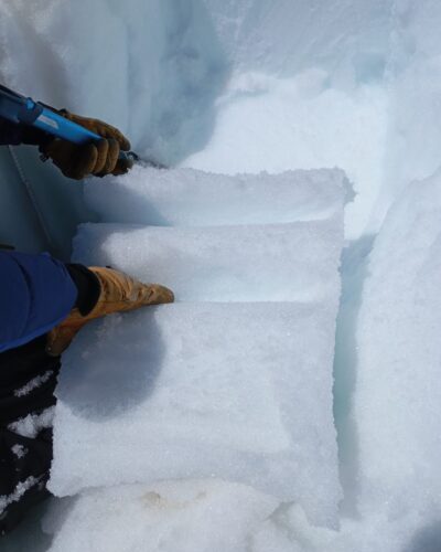 WhatsApp Image 2026-04-03 at 17.46.01